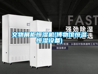 知识百科文物展柜恒湿机(博物馆恒温恒湿设备)