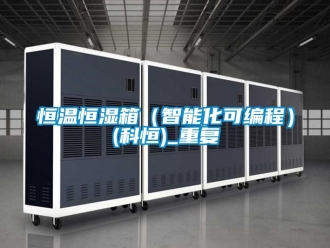 知识百科恒温恒湿箱（智能化可编程）(科恒)_重复