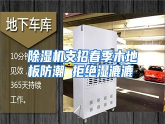 知识百科除湿机支招春季木地板防潮 拒绝湿漉漉