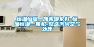 恒温恒湿一体机哪家好-恒温恒湿一体机-就选鸿河空气处理
