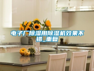 行业资讯电子厂除湿用除湿机效果不错_重复