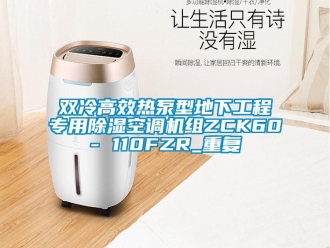 行业资讯双冷高效热泵型地下工程专用除湿空调机组ZCK60- 110FZR_重复