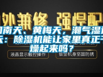 行业资讯回南天、黄梅天，潮气湿连天：除湿机能让家里真正干燥起来吗？