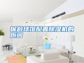 企业动态保龄球馆配置除湿机的原因