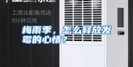 梅雨季，怎么释放发霉的心情？