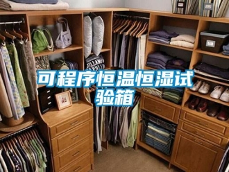知识百科可程序恒温恒湿试验箱