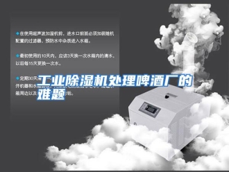 知识百科工业除湿机处理啤酒厂的难题