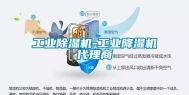 工业除湿机-工业降湿机代理商