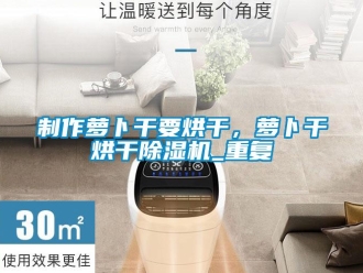 行业资讯制作萝卜干要烘干，萝卜干烘干除湿机_重复