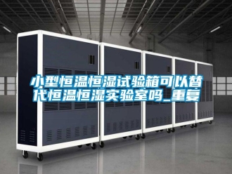 知识百科小型恒温恒湿试验箱可以替代恒温恒湿实验室吗_重复