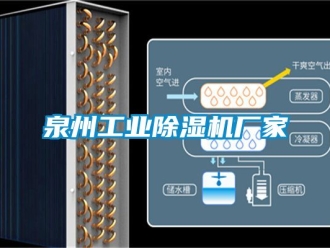 企业动态泉州工业除湿机厂家