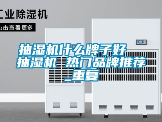企业动态抽湿机什么牌子好  抽湿机 热门品牌推荐_重复