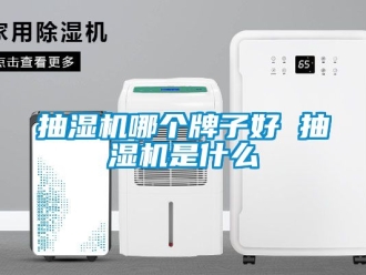 企业动态抽湿机哪个牌子好 抽湿机是什么