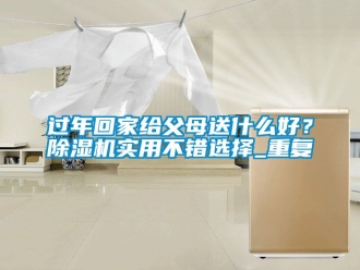 行业资讯过年回家给父母送什么好？除湿机实用不错选择_重复