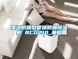 企业动态漯河防爆型管道防爆除湿机 BCGZ10_重复