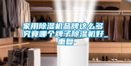 家用除湿机品牌这么多 究竟哪个牌子除湿机好_重复