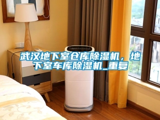 企业动态武汉地下室仓库除湿机，地下室车库除湿机_重复