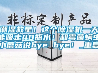 企业动态潮湿救星！这个除湿机一天能吸走40瓶水！和霉菌螨虫小蘑菇说bye bye！_重复