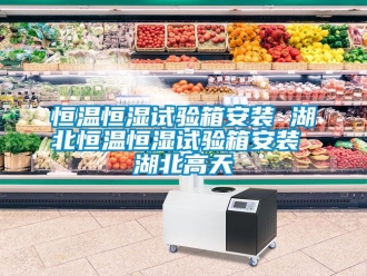 知识百科恒温恒湿试验箱安装 湖北恒温恒湿试验箱安装 湖北高天