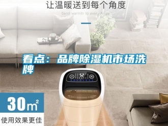 行业资讯看点：品牌除湿机市场洗牌