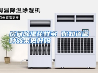 常见问题房间除湿花样多 你知道哪种效果更好吗
