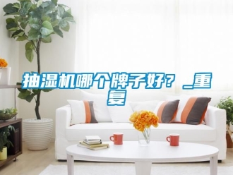 企业动态抽湿机哪个牌子好？_重复