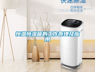 知识百科恒温恒湿箱的工作原理及应用