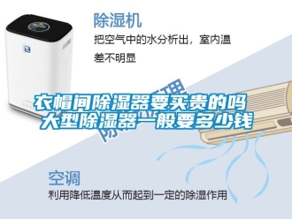 行业资讯衣帽间除湿器要买贵的吗 大型除湿器一般要多少钱