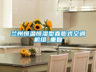 知识百科兰州恒温恒湿型直膨式空调机组_重复