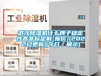行业资讯武汉除湿机什么牌子稳定性高非标定制[报价](2022已更新)(今日／展示)