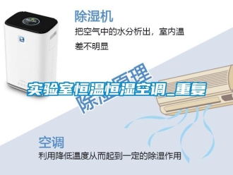 知识百科实验室恒温恒湿空调_重复