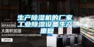 生产除湿机的厂家 工业除湿设备生产_重复