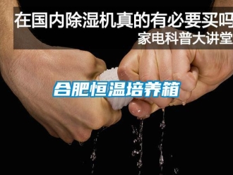 知识百科合肥恒温培养箱