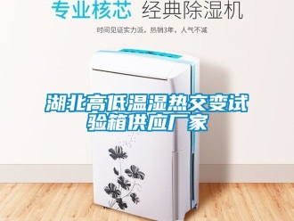 常见问题湖北高低温湿热交变试验箱供应厂家