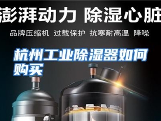 常见问题杭州工业除湿器如何购买