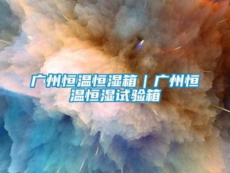 知识百科广州恒温恒湿箱｜广州恒温恒湿试验箱