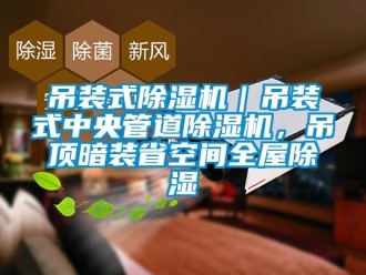 行业资讯吊装式除湿机｜吊装式中央管道除湿机，吊顶暗装省空间全屋除湿