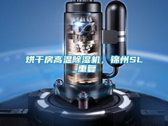 行业资讯烘干房高温除湿机，锦州SL_重复