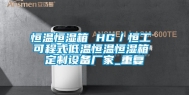恒温恒湿箱 HG／恒工 可程式低温恒温恒湿箱 定制设备厂家_重复