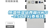 恒温恒湿培养箱HWS-250BX(泰斯特)