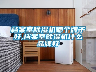 企业动态档案室除湿机哪个牌子好,档案室除湿机什么品牌好