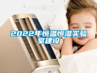 常见问题2022年恒温恒湿实验室建设
