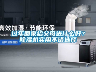 行业资讯过年回家给父母送什么好？除湿机实用不错选择