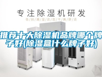 企业动态推荐十大除湿机品牌哪个牌子好(除湿盒什么牌子好)