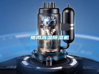 行业资讯腊肉高温除湿机