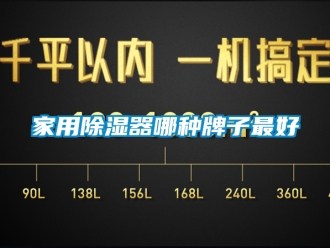 行业资讯家用除湿器哪种牌子最好