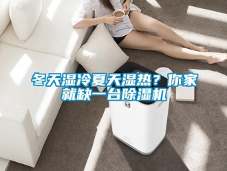 行业资讯冬天湿冷夏天湿热？你家就缺一台除湿机