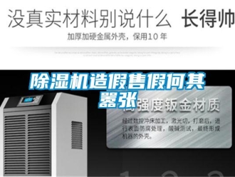 常见问题除湿机造假售假何其嚣张
