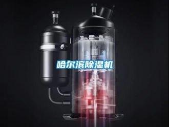行业资讯哈尔滨除湿机
