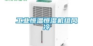 工业恒温恒湿机组风冷